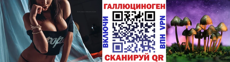 Галлюциногенные грибы Psilocybe  мега   Богородицк 