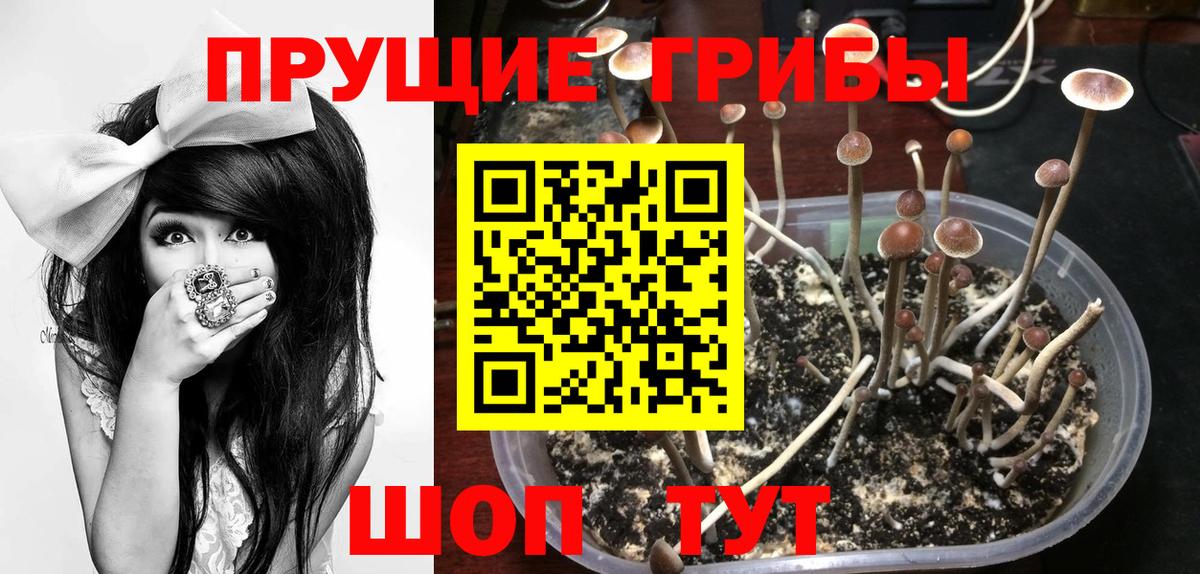 Псилоцибиновые грибы MAGIC MUSHROOMS  Вход с VPN  Богородицк 