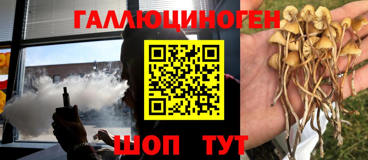 Псилоцибиновые грибы MAGIC MUSHROOMS  Богородицк 