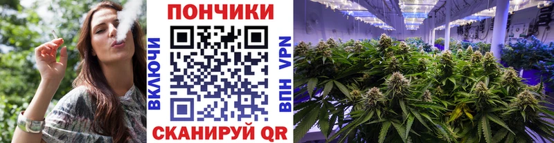 цена   Богородицк  Каннабис гибрид 